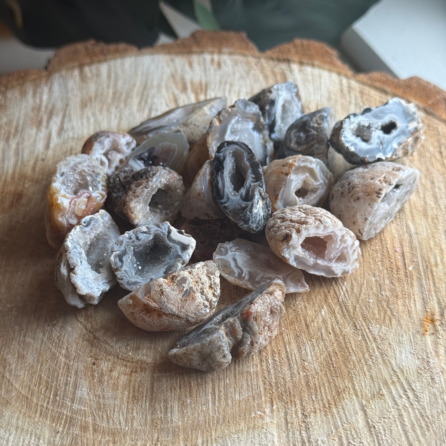 Mini Occo Agate Geode Half (tiff picks)