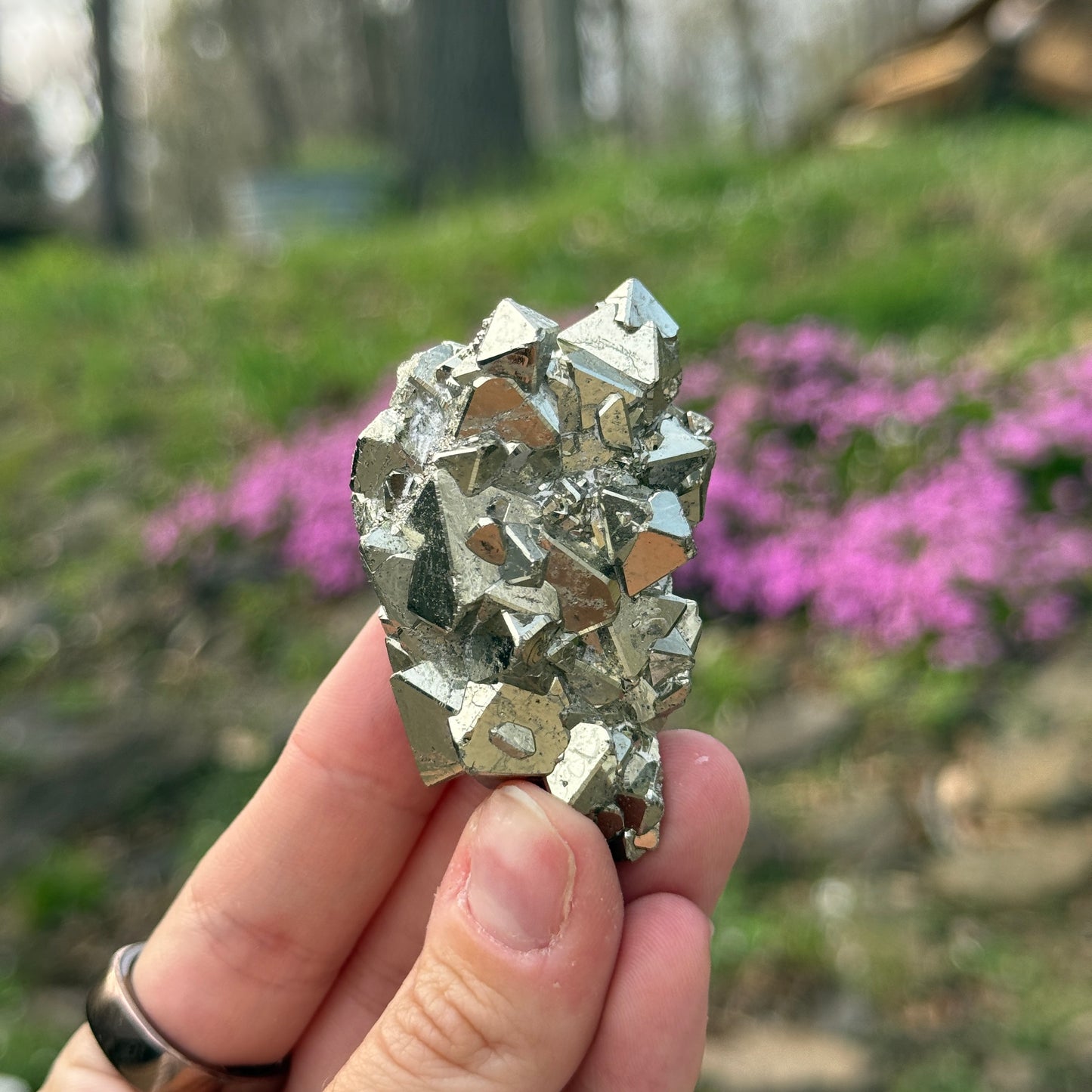 Cubic Pyrite