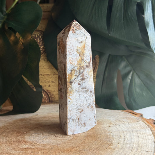 Agate Point