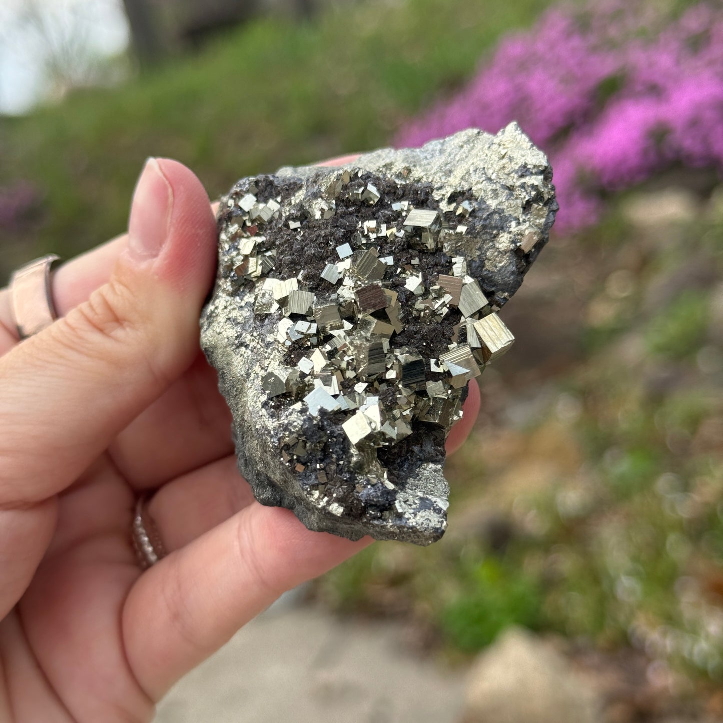 Cubic Pyrite on Matrix