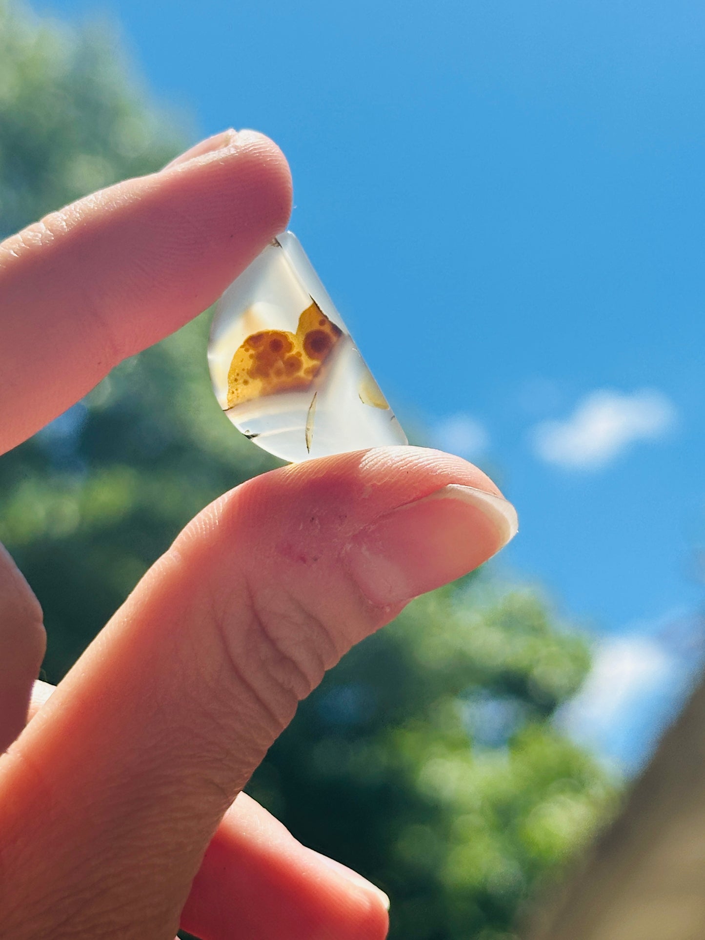 Montana Agate Cabochon