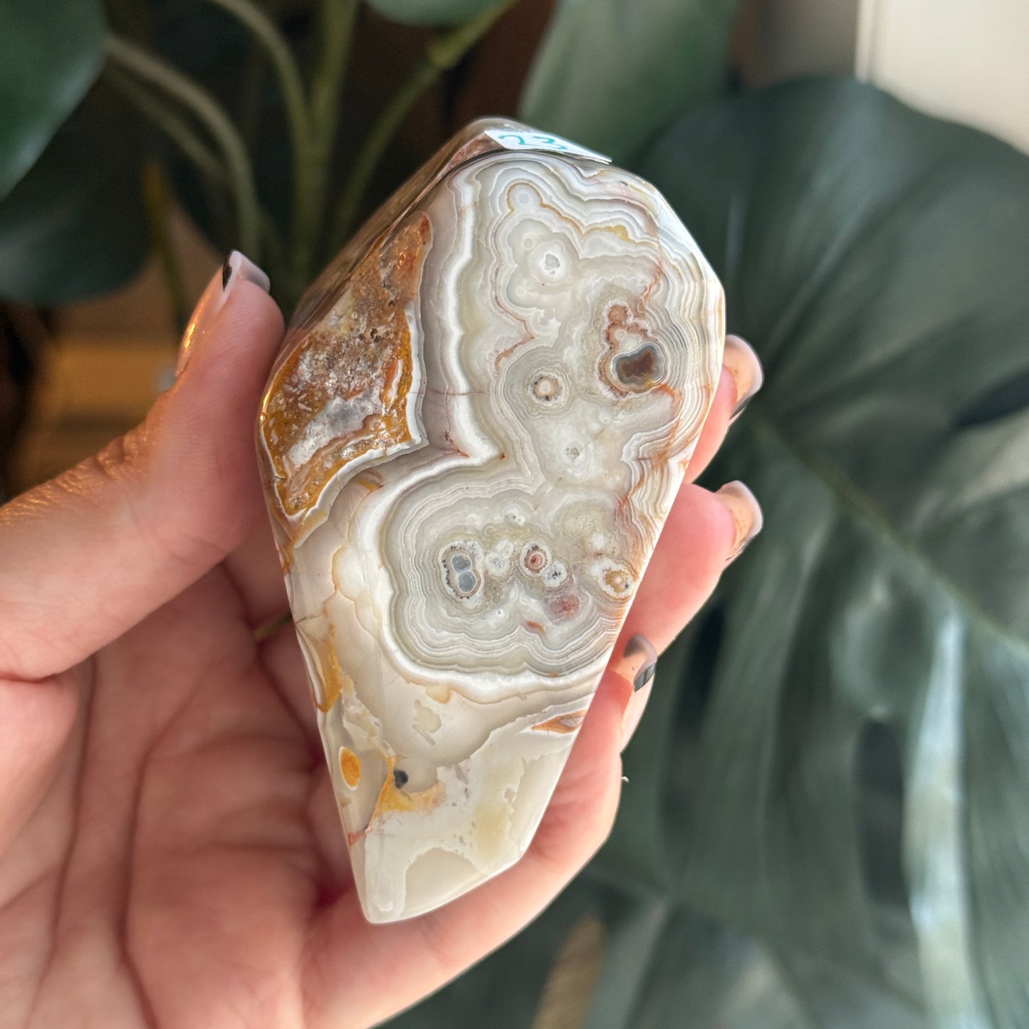Crazy Lace Agate