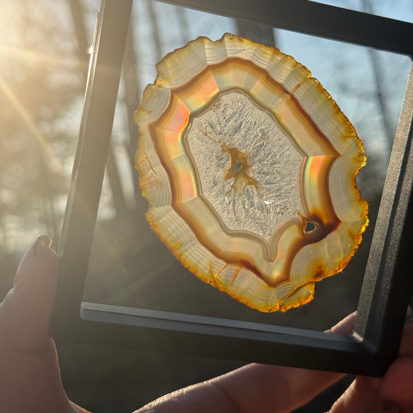 Iris Agate B
