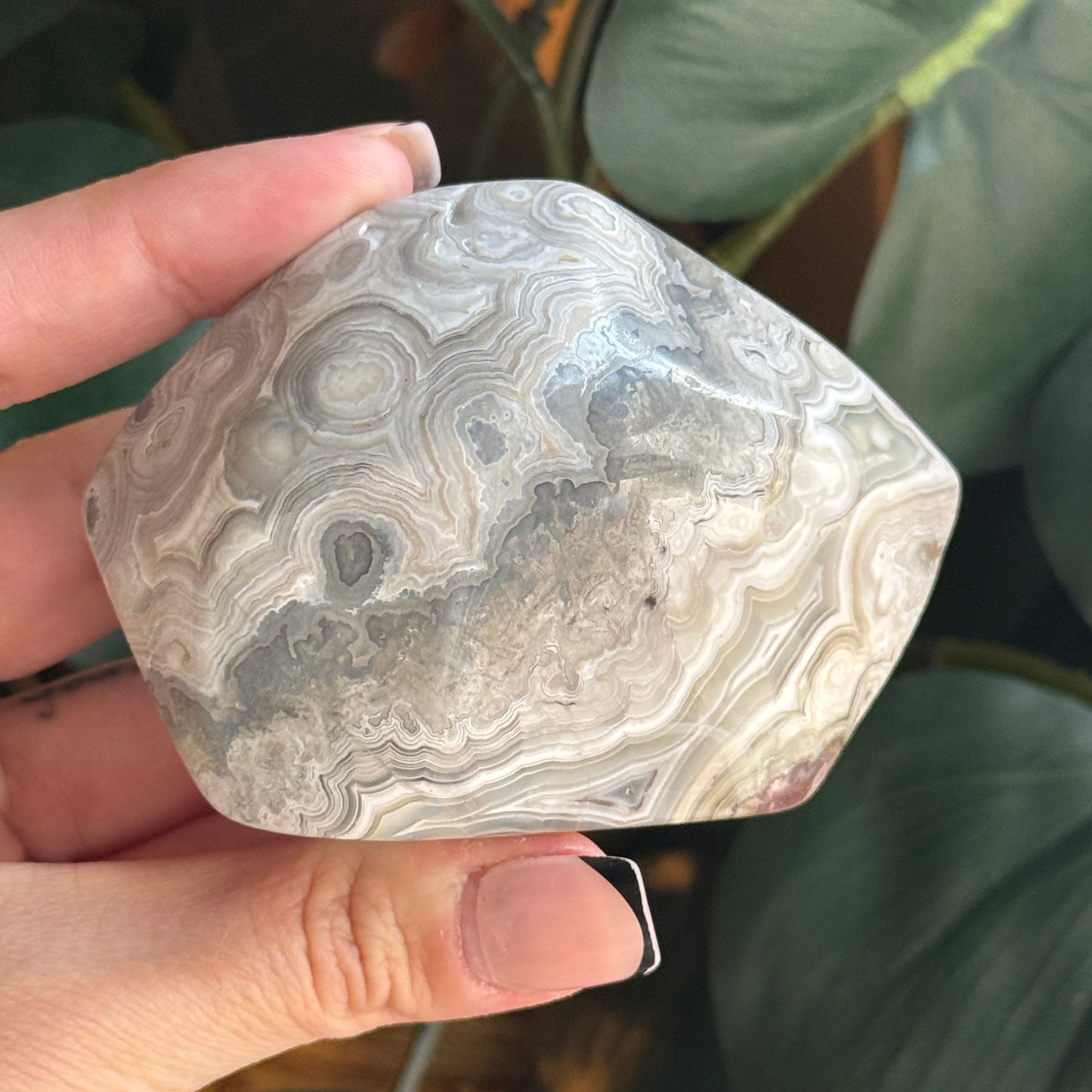 Crazy Lace Agate