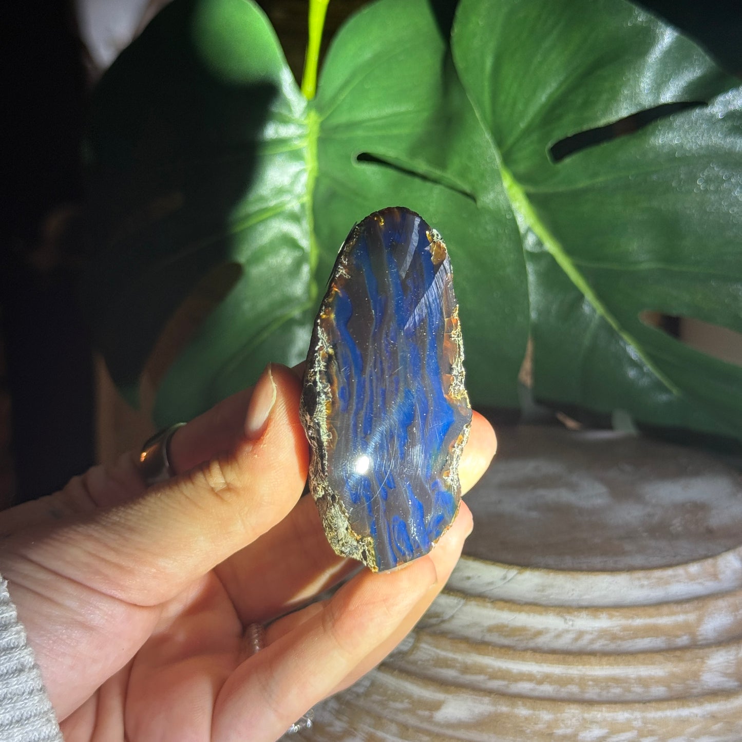 Sumatran Amber