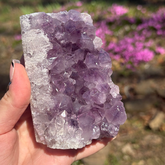 Amethyst Cut Base
