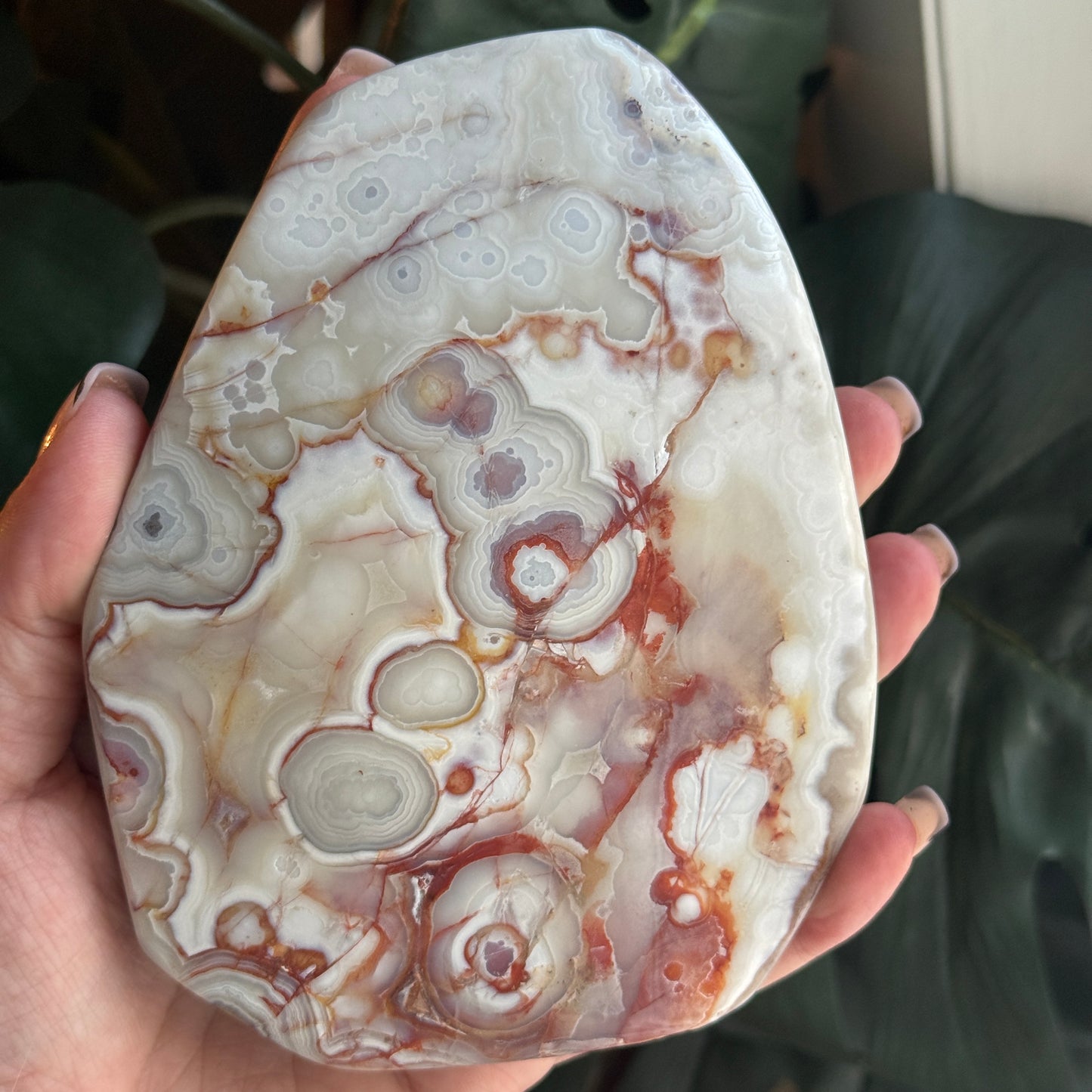 Crazy Lace Agate *comes with stand*