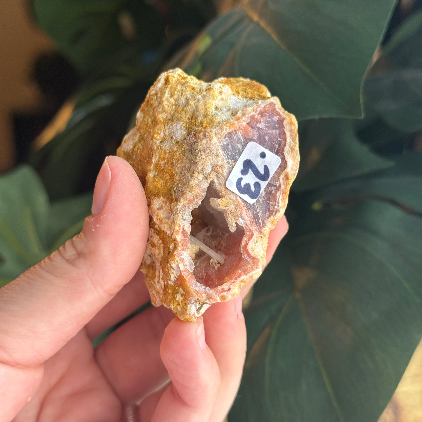 Chalcedony Raw Specimen