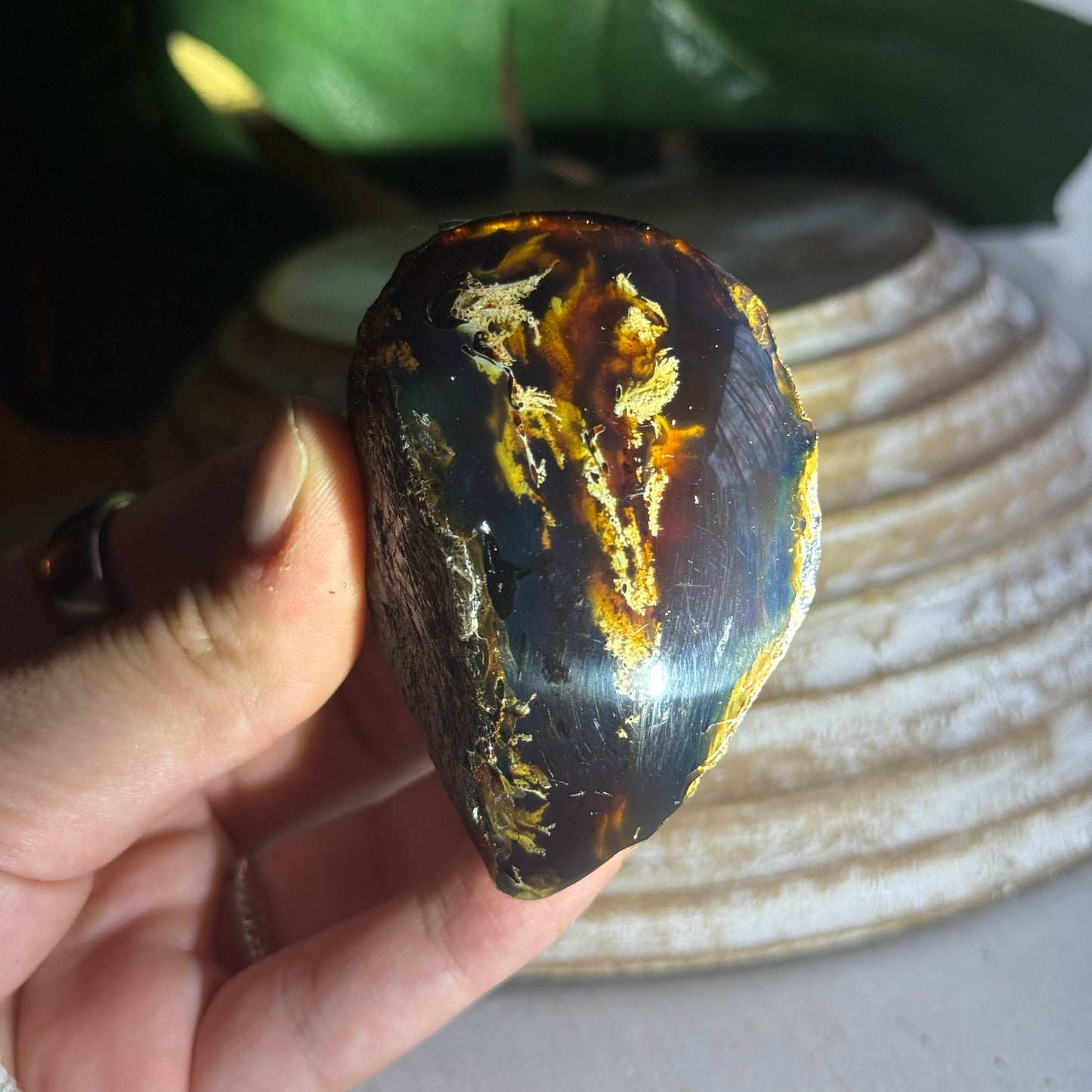 Sumatran Amber