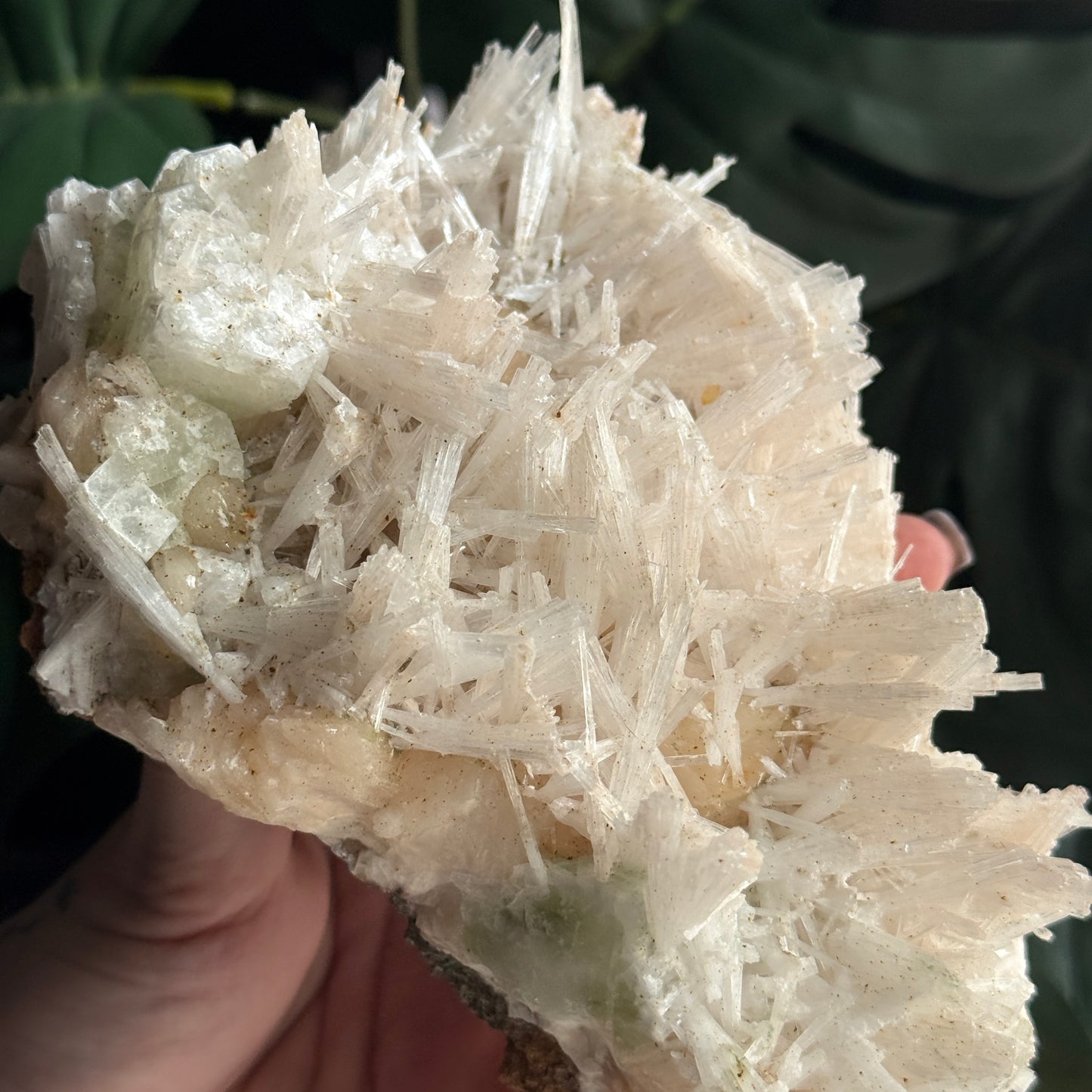 Scolecite on Stilbite & Green Apophyllite