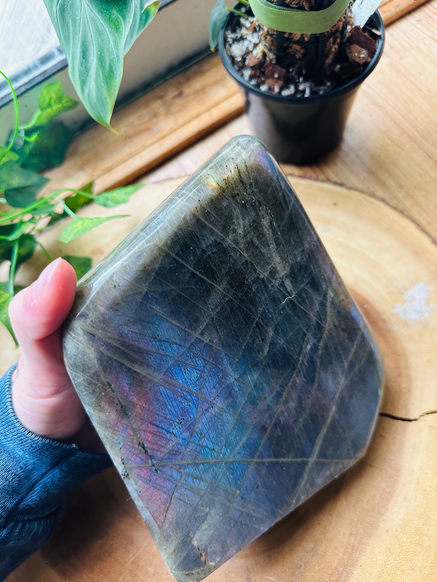 Labradorite Polished Freeform