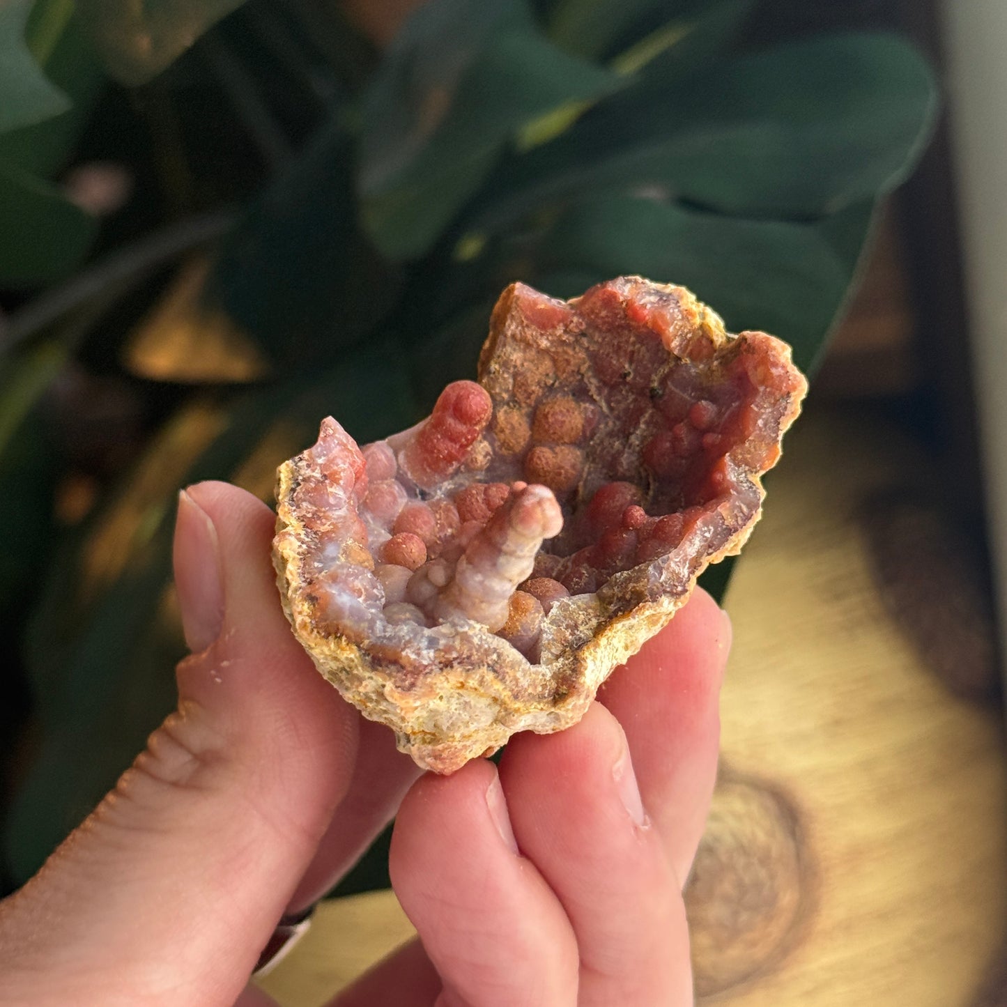 Botryoidal Chalcedony Stalactite