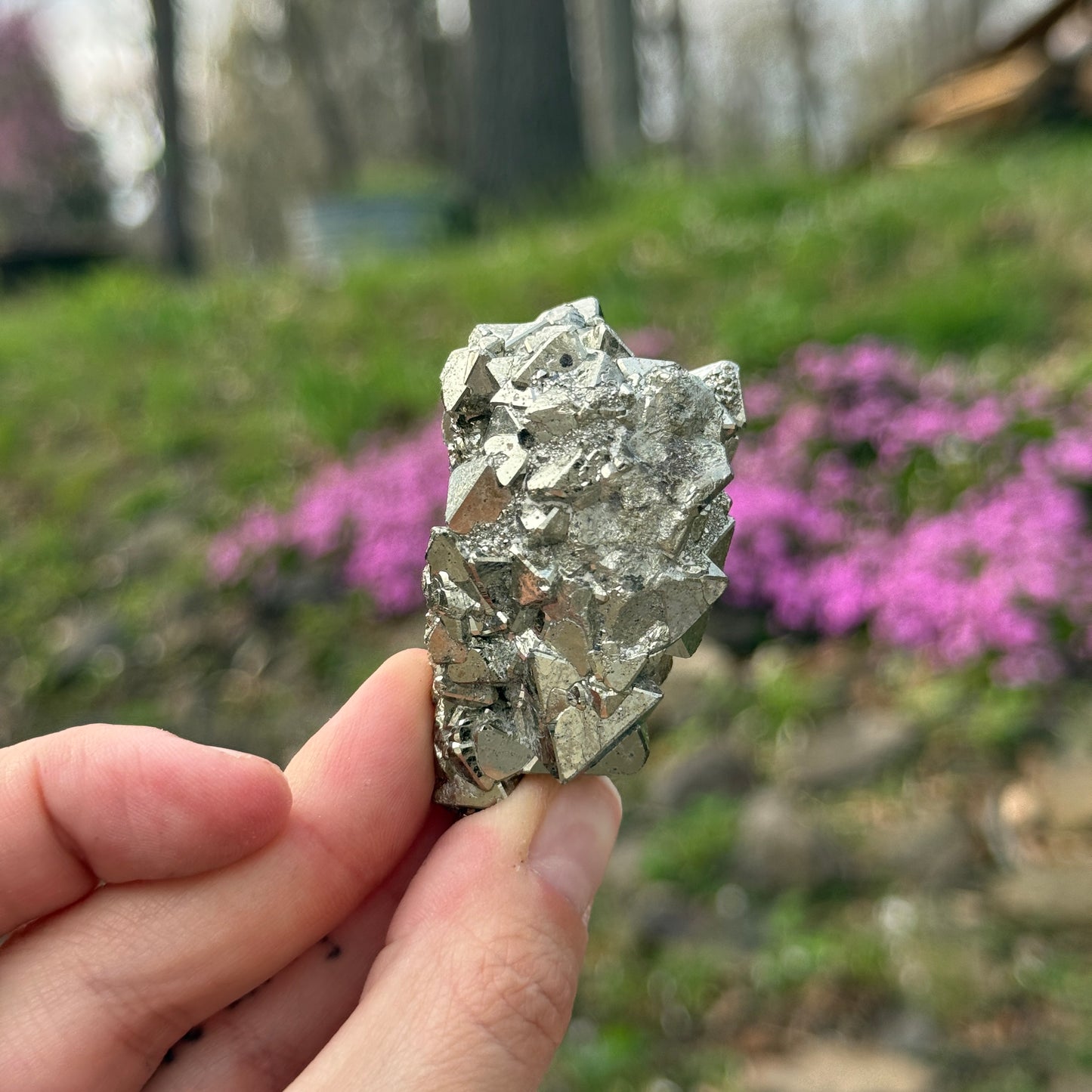 Cubic Pyrite