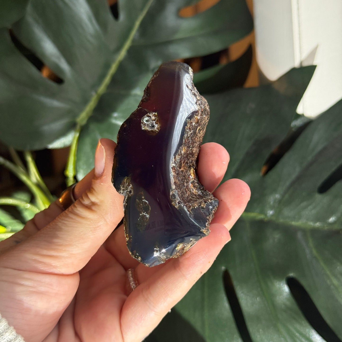 Sumatran Amber