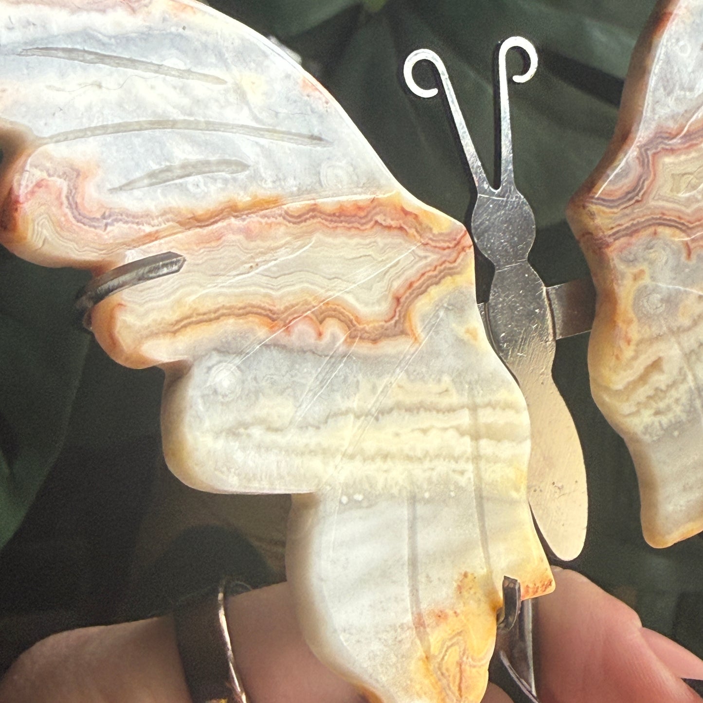 Crazy Lace Agate Butterfly Wings on Stand E