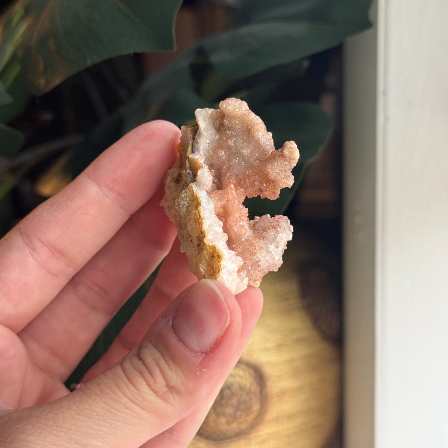 Chalcedony Raw Specimen