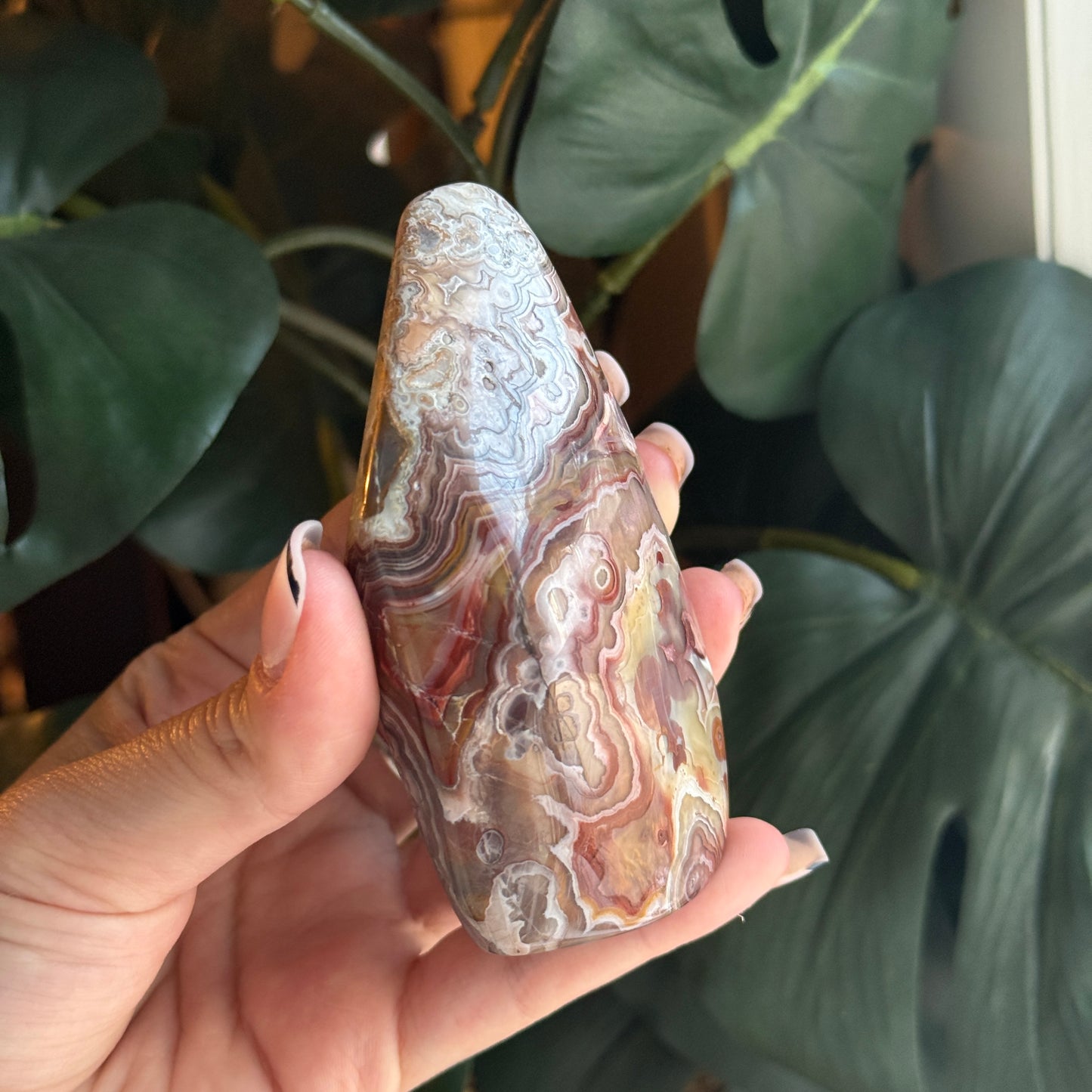 Crazy Lace Agate