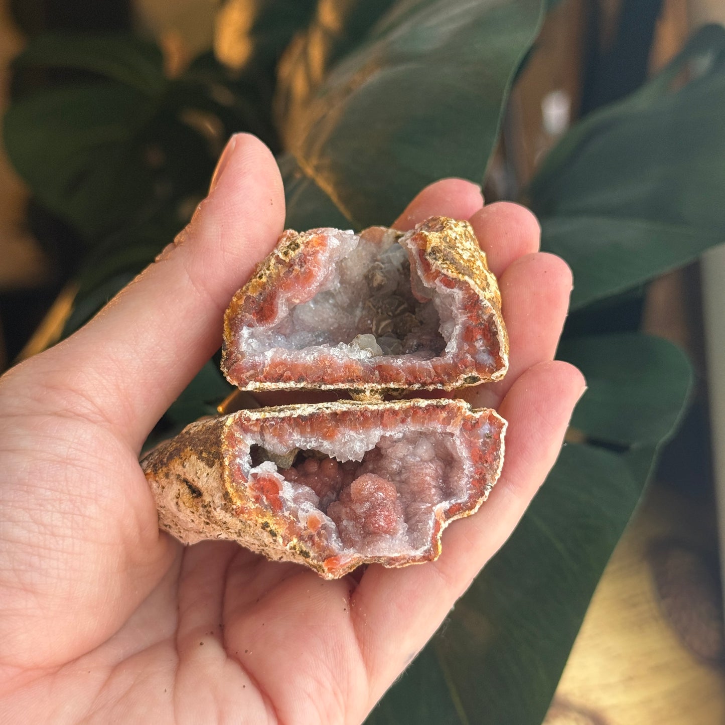 Botryoidal Chalcedony Raw Geode *PAIR*
