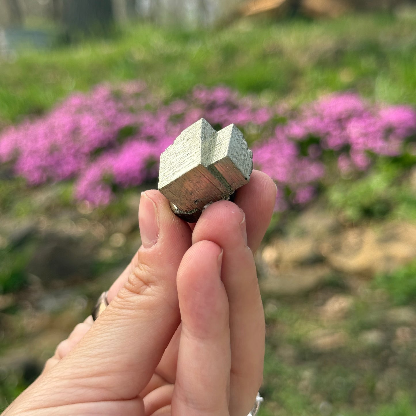 Cubic Pyrite