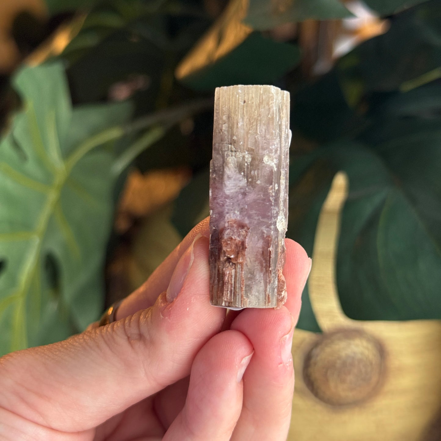 Purple Aragonite