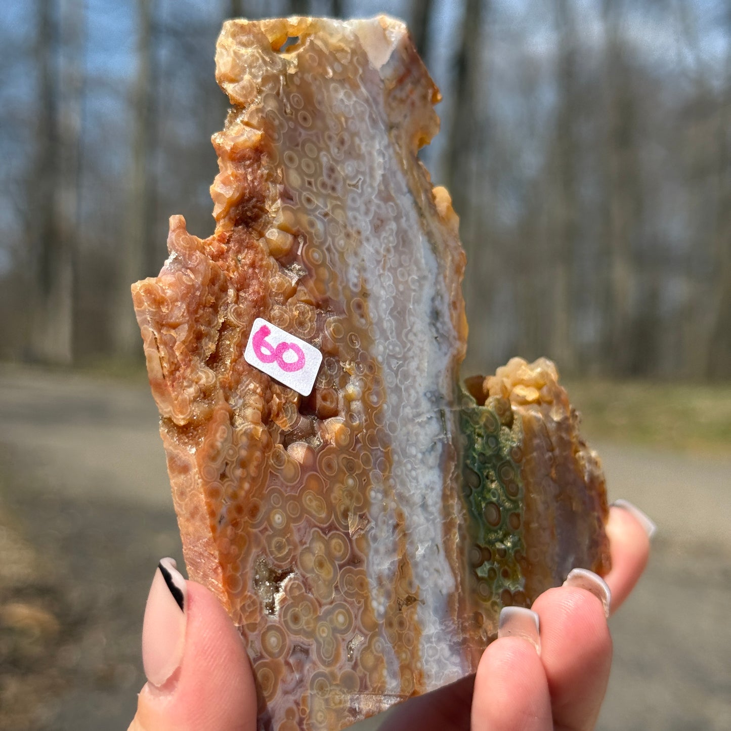 Ocean Jasper Slab