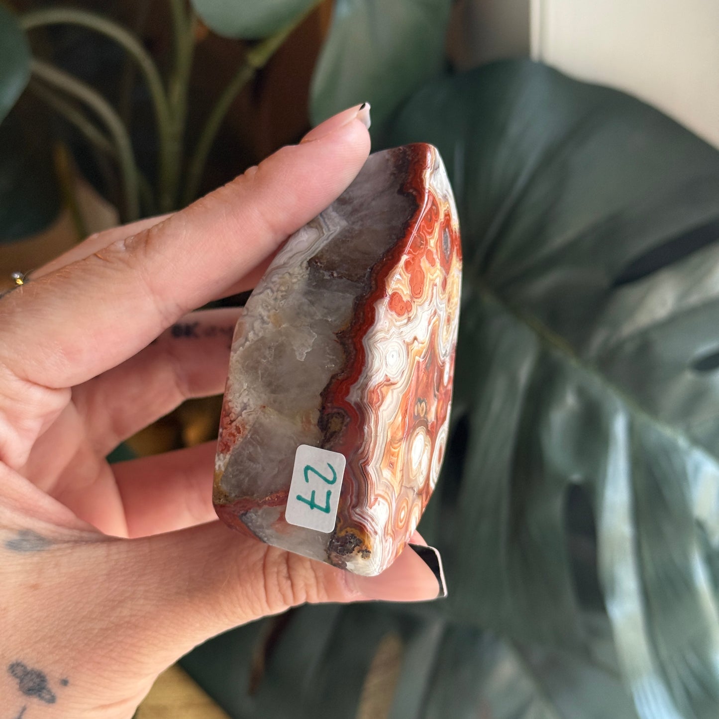 Crazy Lace Agate