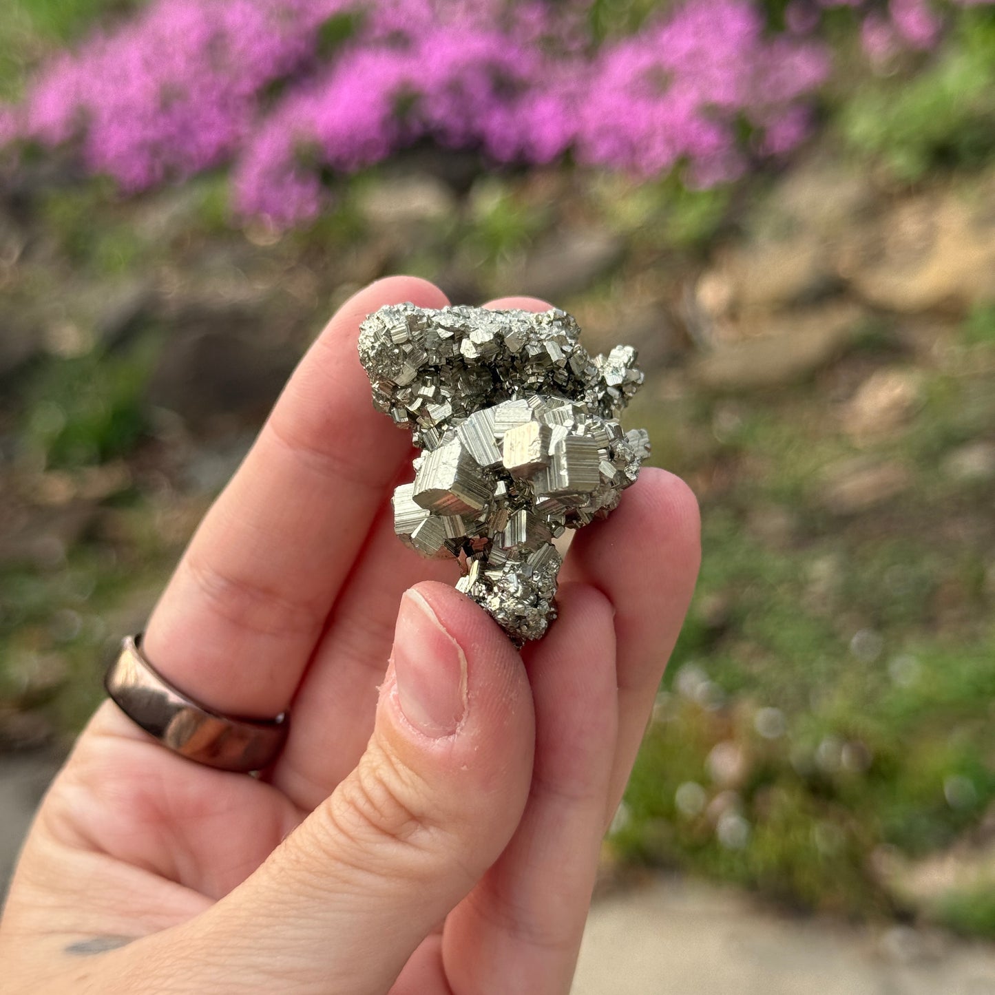 Cubic Pyrite