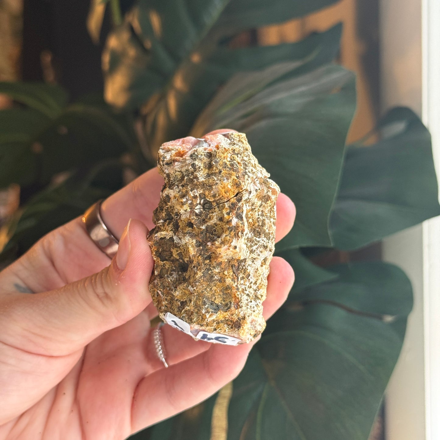 Botryoidal Chalcedony Raw Geode *PAIR*