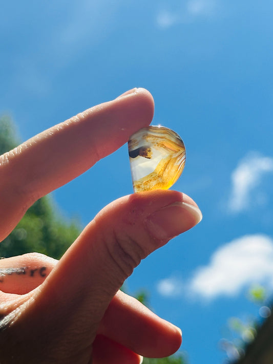 Montana Agate Cabochon