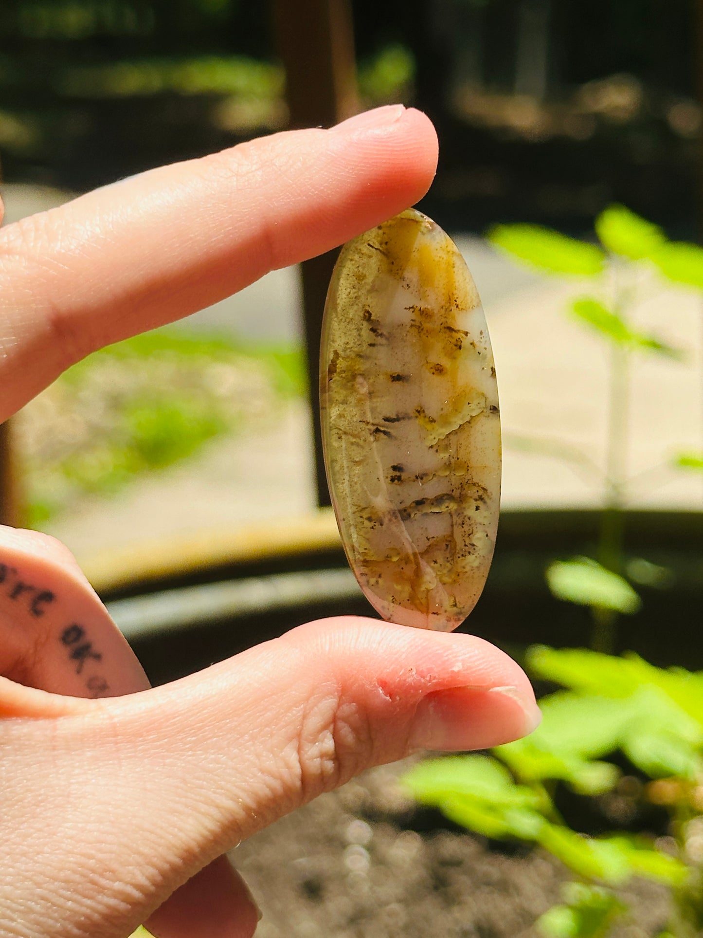 Montana Agate Cabochon