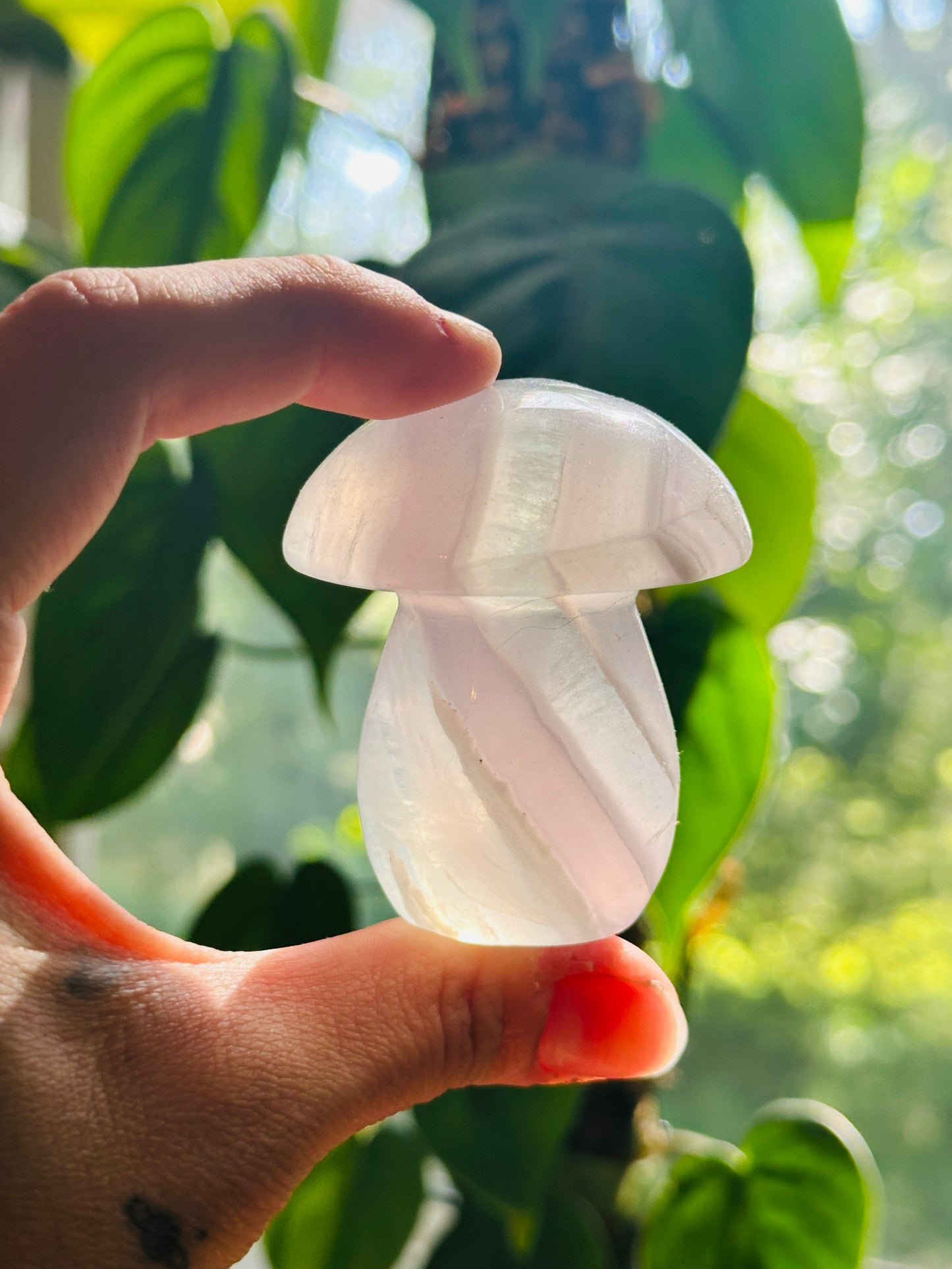 Lavender Fluorite Mushroom