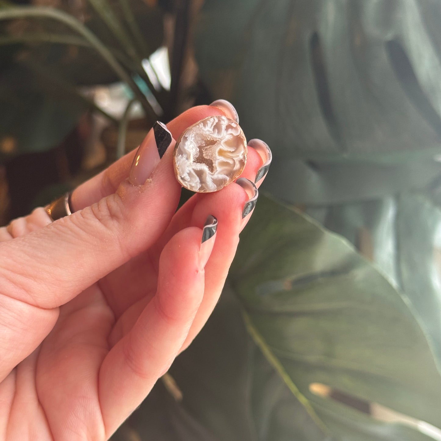 Mini Occo Agate Geode Half (tiff picks)