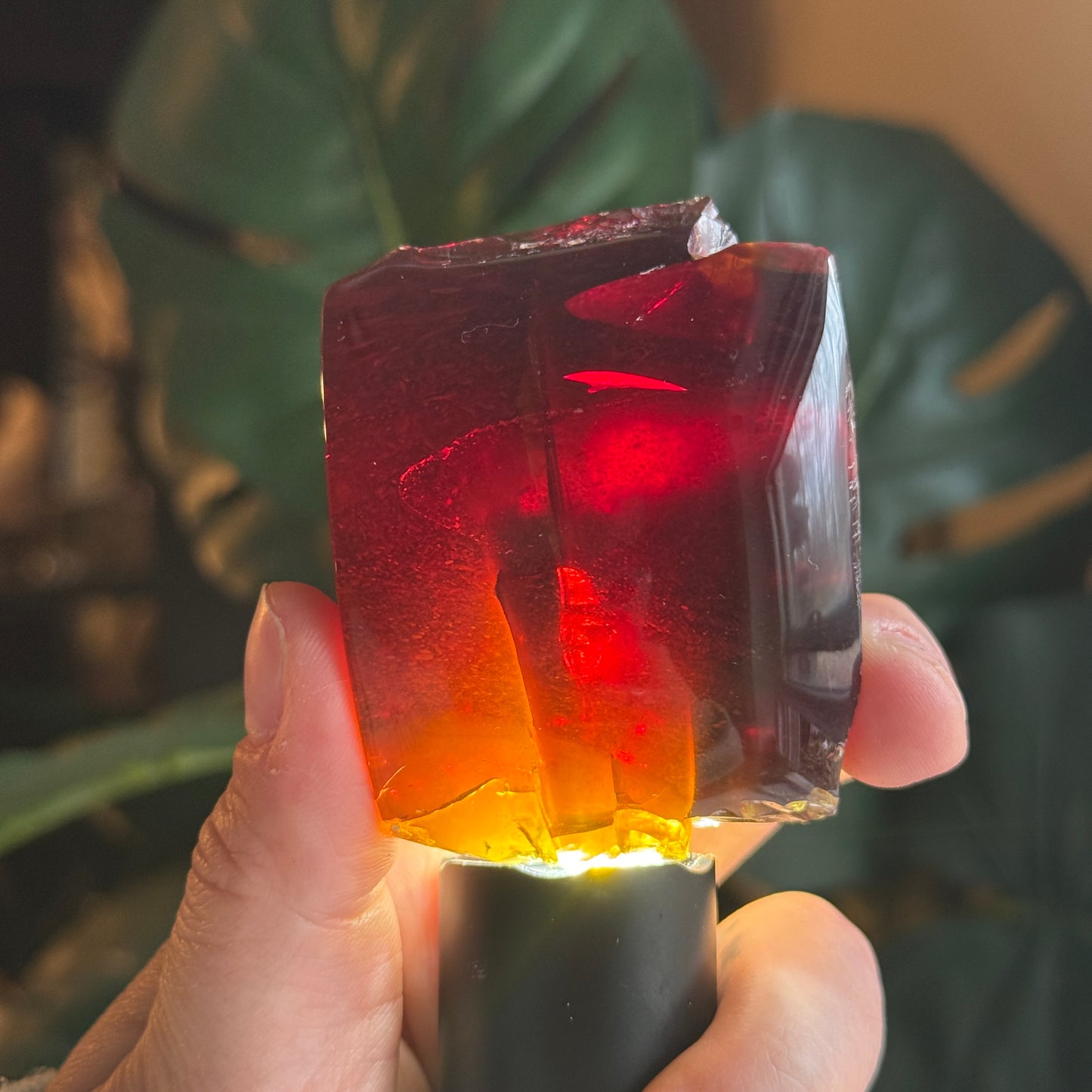 Sumatran Amber