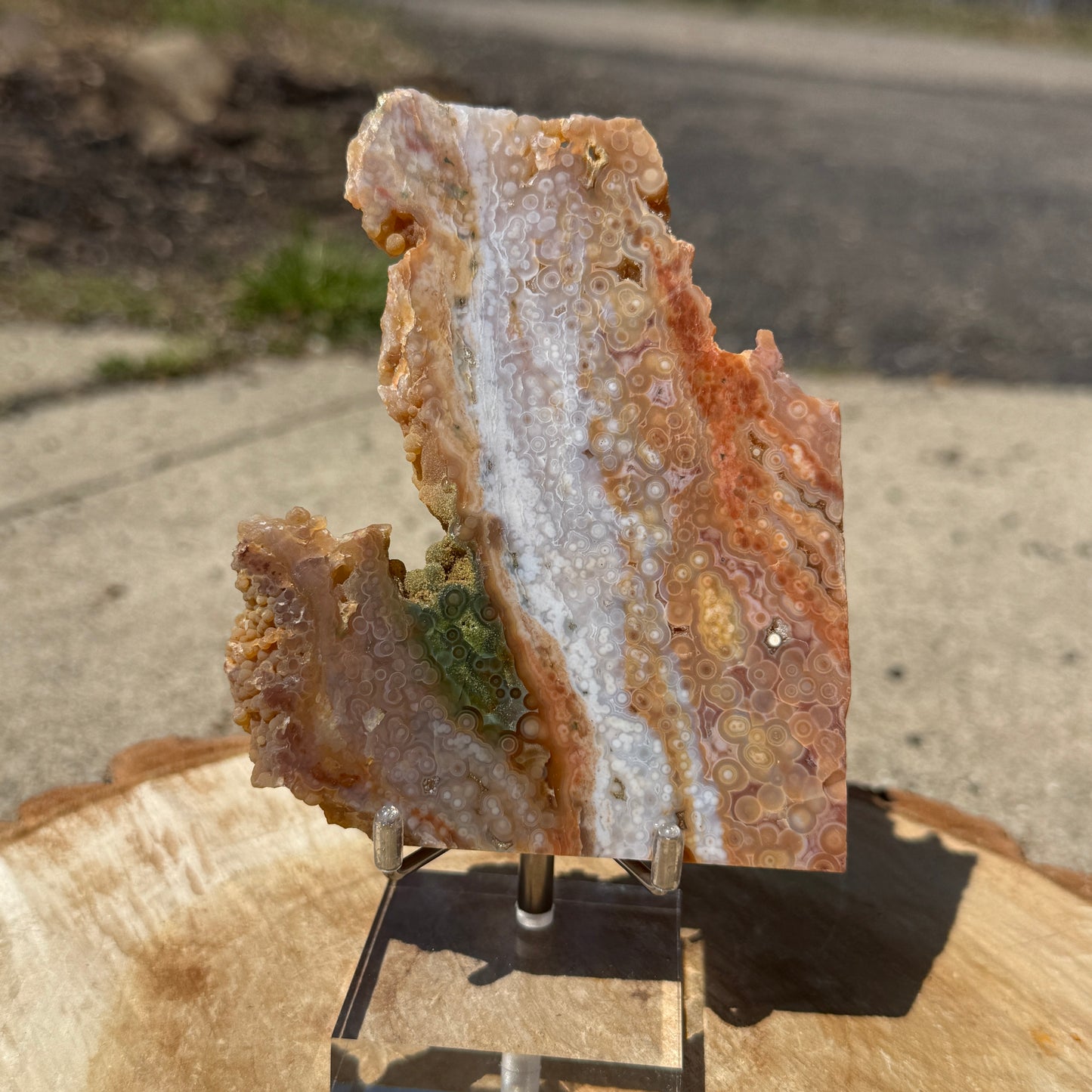 Ocean Jasper Slab
