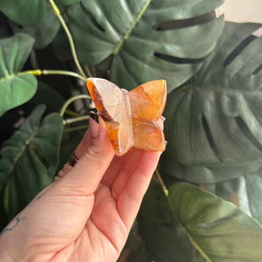 Fire Quartz 3D Butterfly B