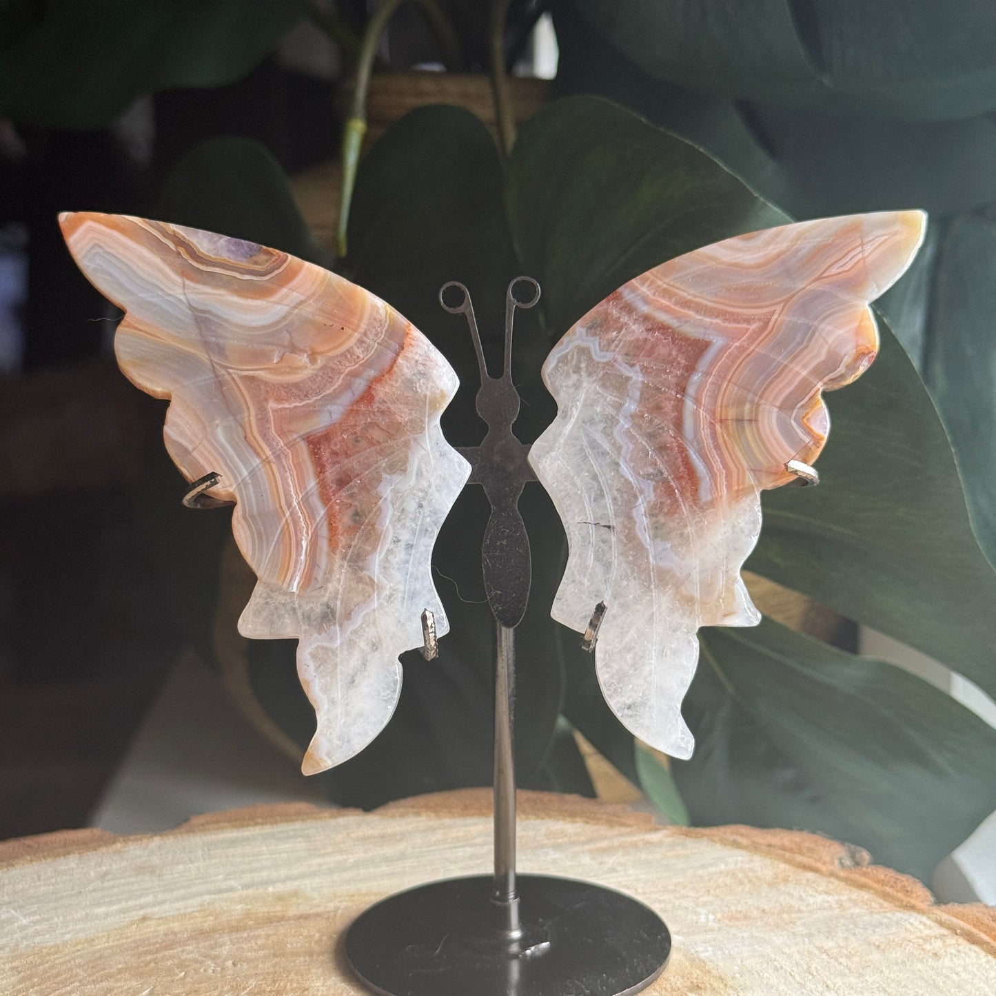 Agate Butterfly Wings on Stand D