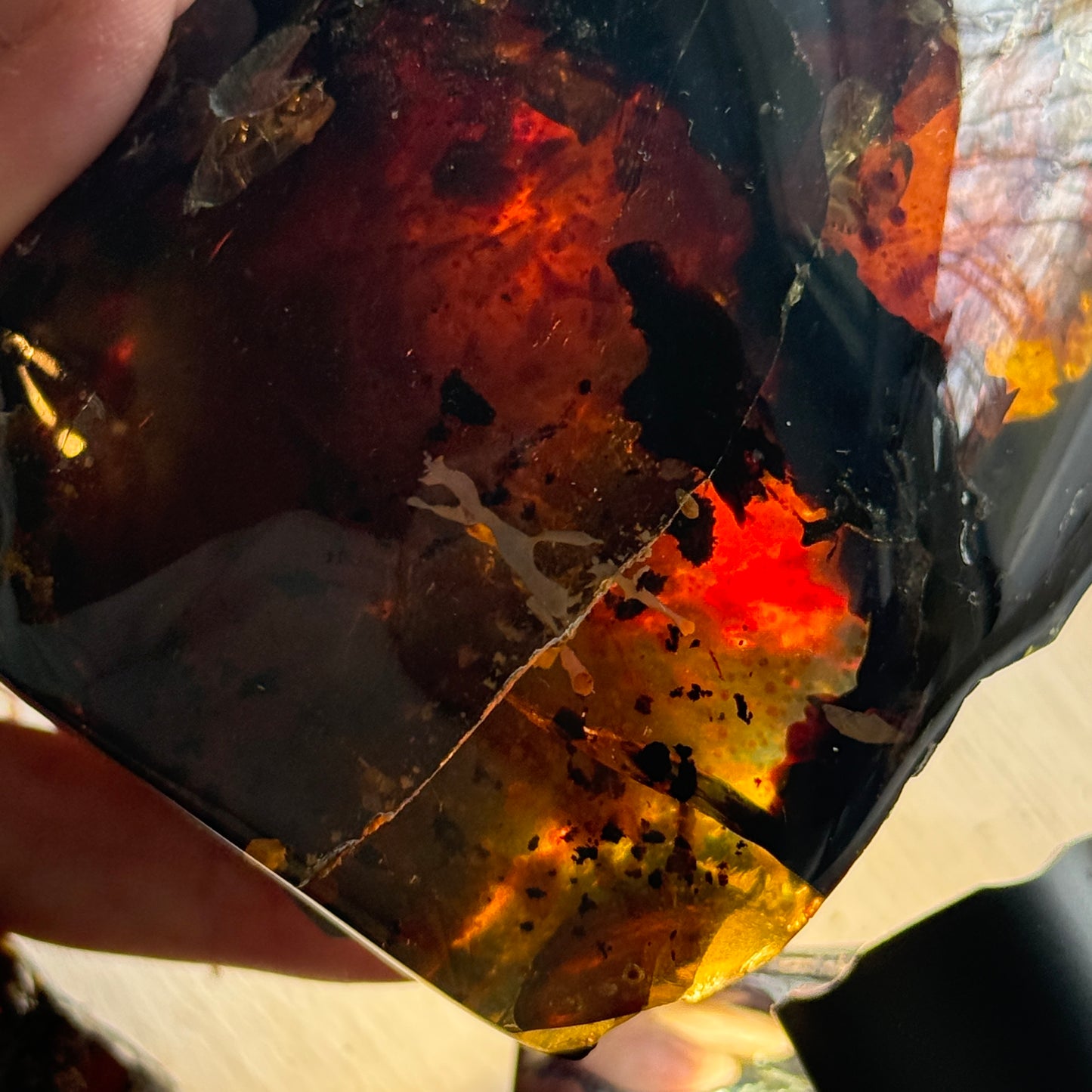 Sumatran Amber