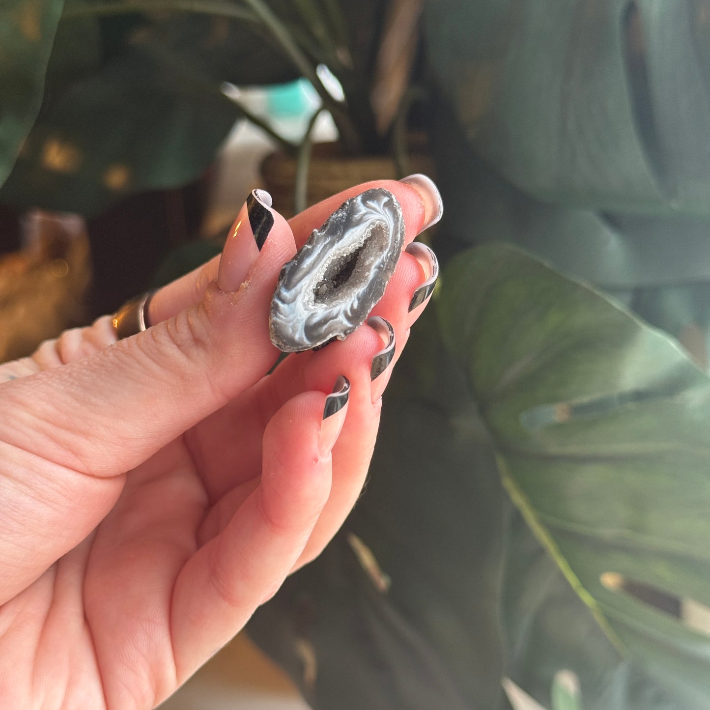 Mini Occo Agate Geode Half (tiff picks)
