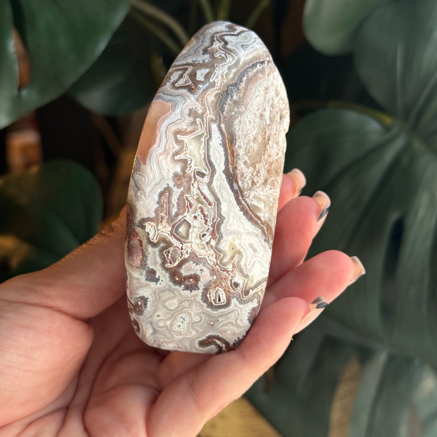Crazy Lace Agate