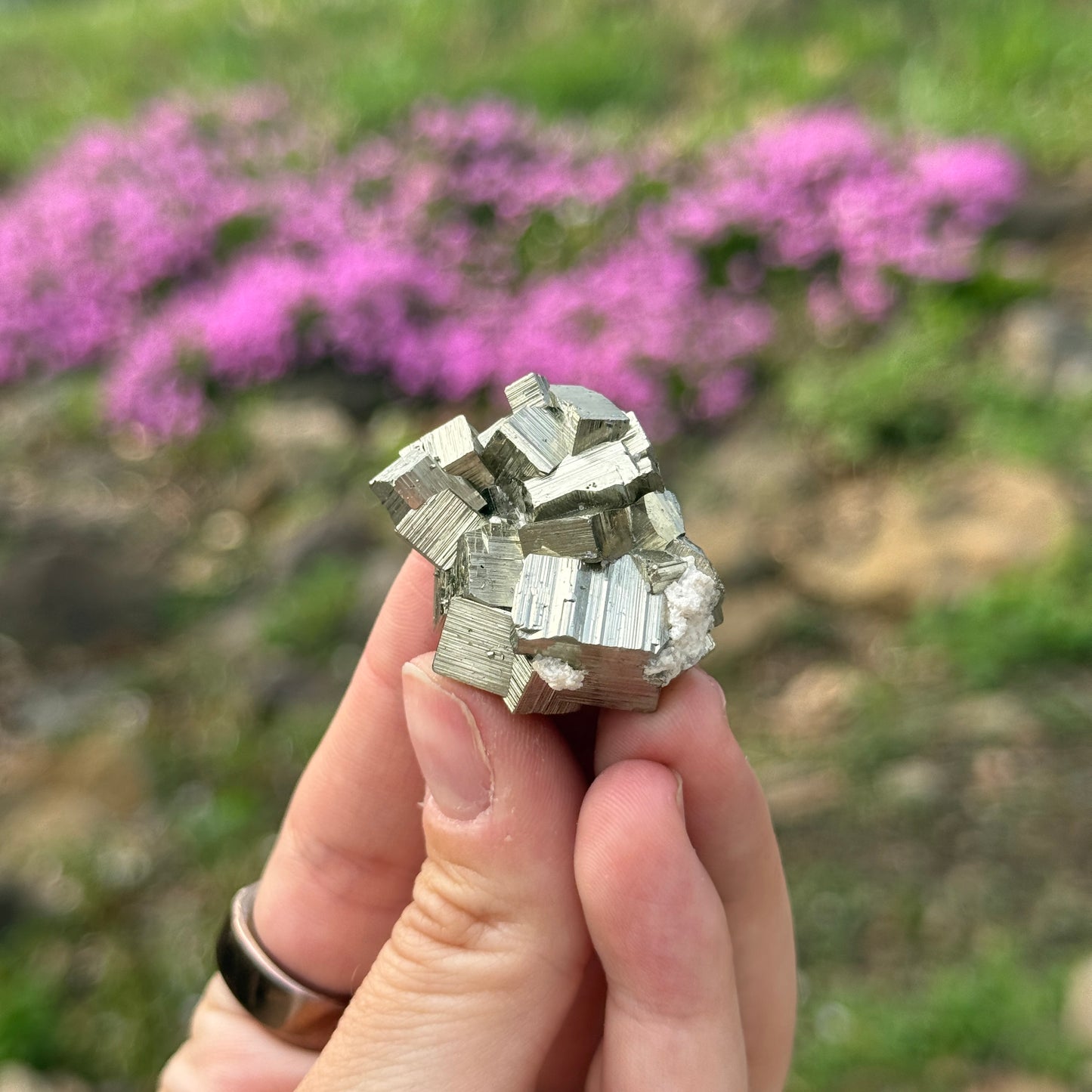 Cubic Pyrite