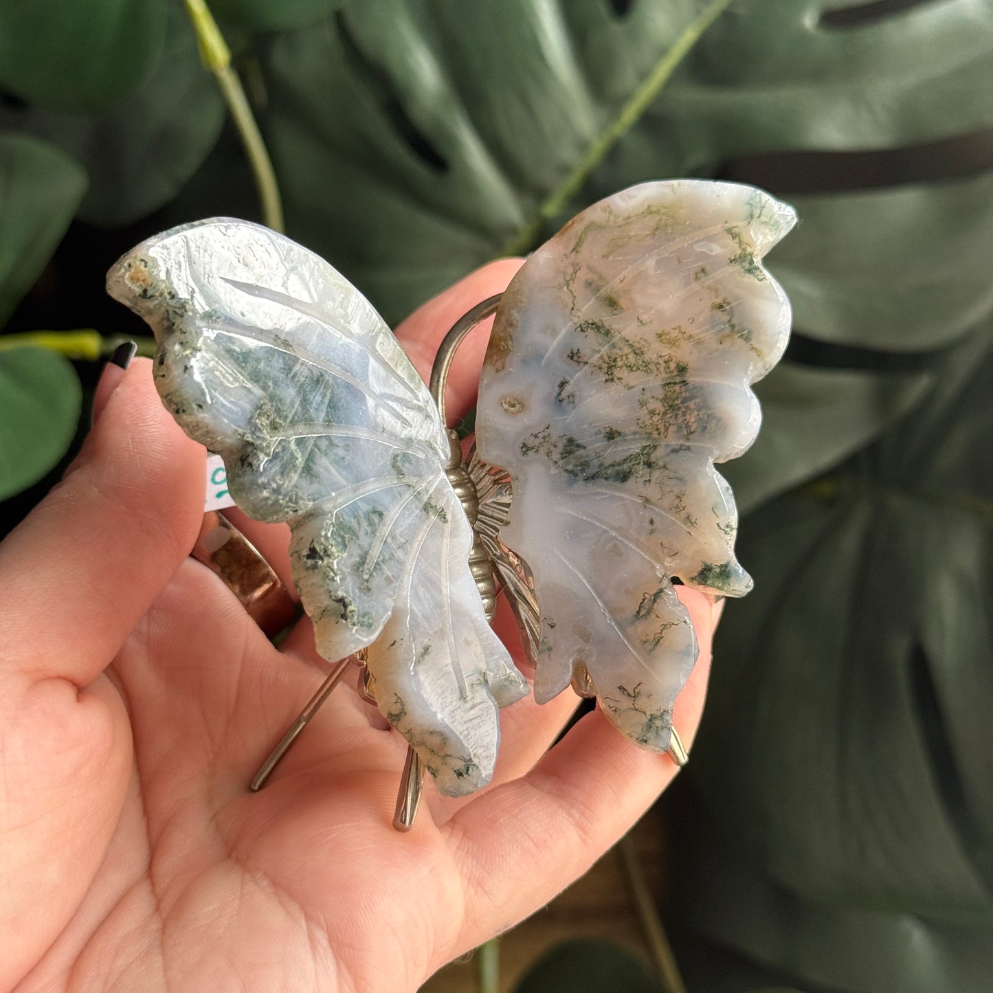 Moss Agate Butterfly H