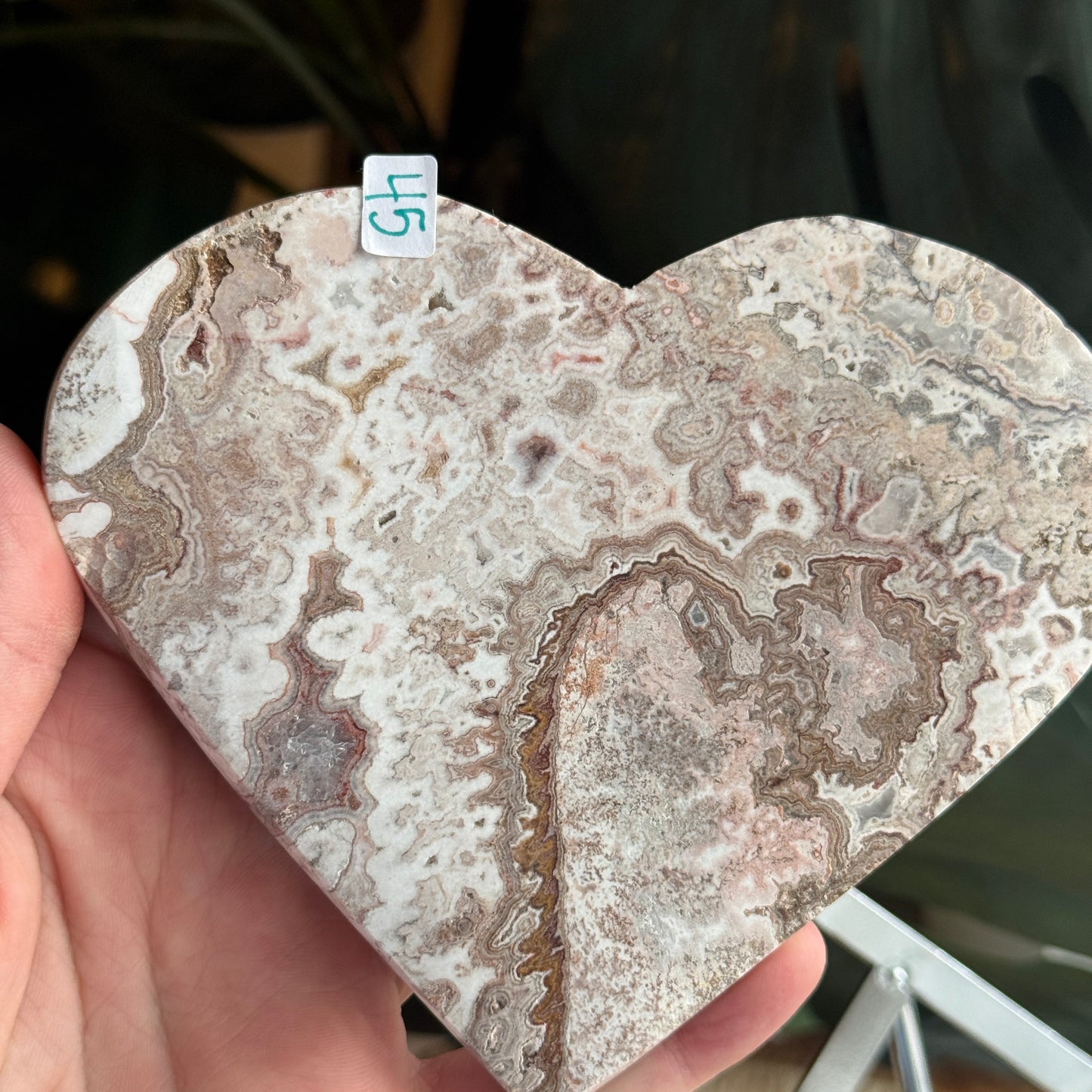 Crazy Lace Agate Heart ♥️