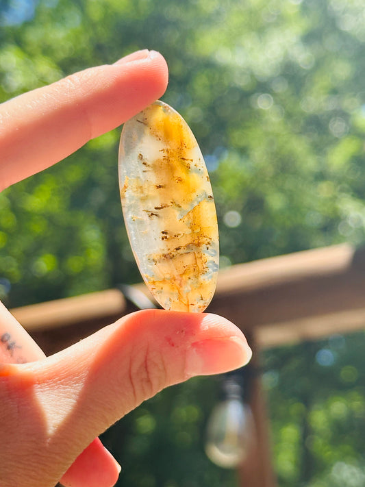 Montana Agate Cabochon