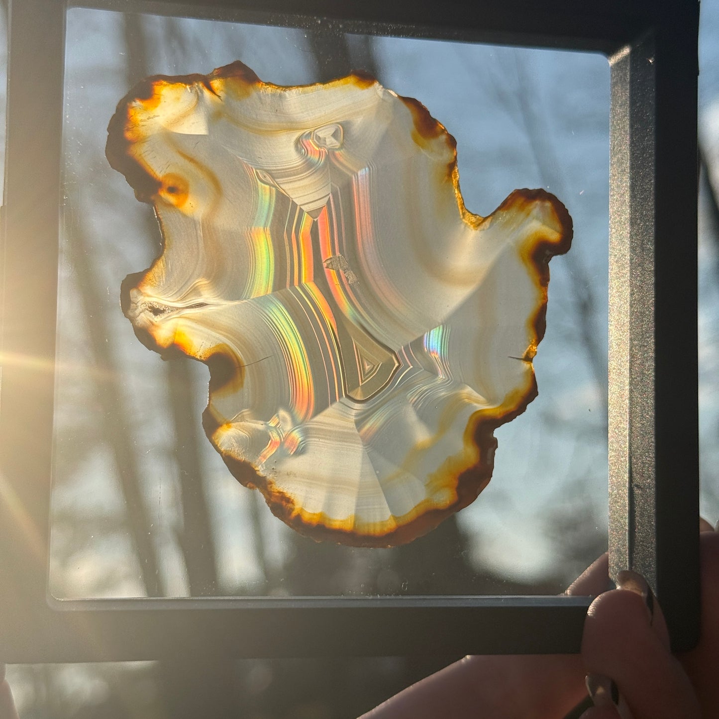 Iris Agate A