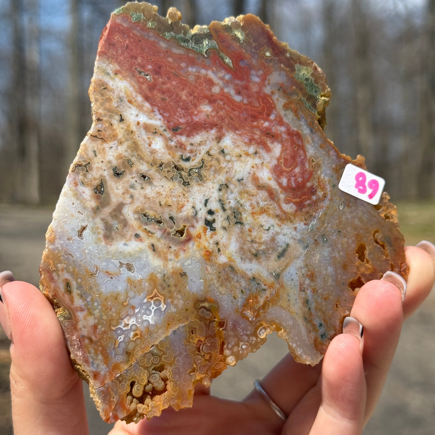 Ocean Jasper Slab