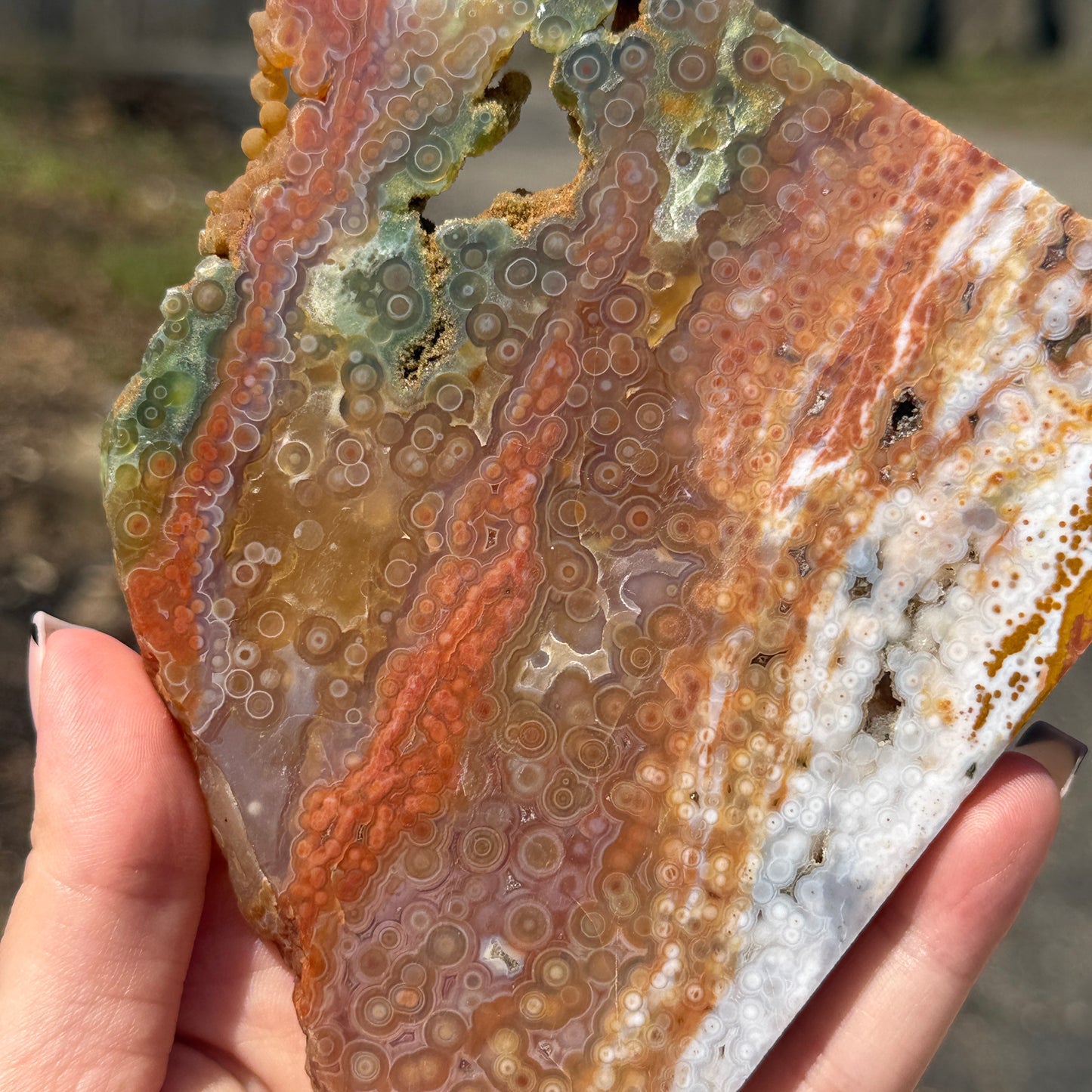 Ocean Jasper Slab