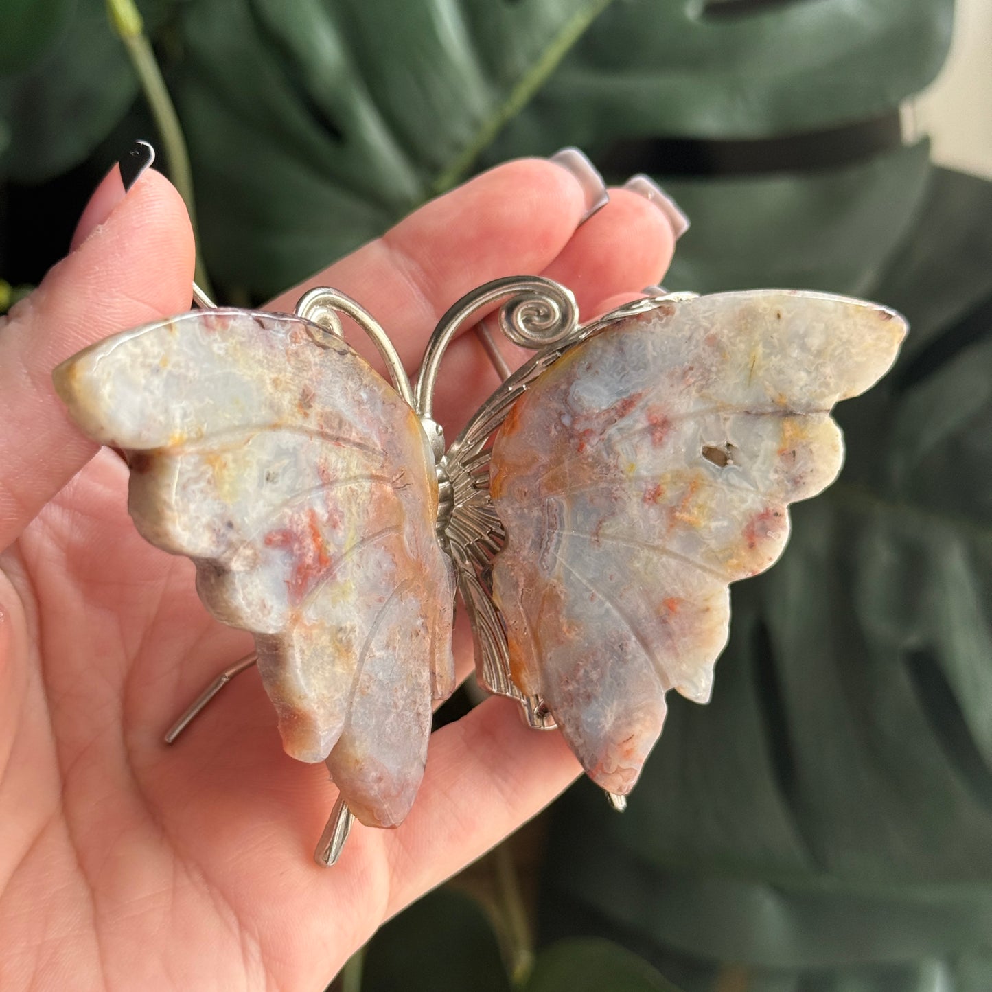 Jasper Butterfly A