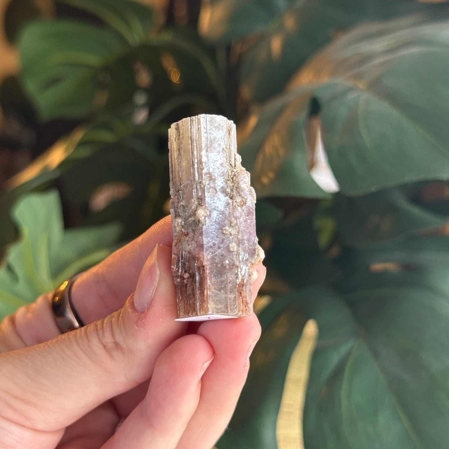 Purple Aragonite
